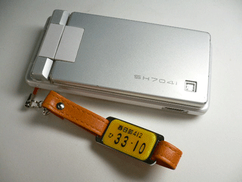 �i���o�[�v���[�g�X�g���b�v�V���[�g