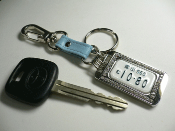 �i���o�[�v���[�g�L�[�z���_�[�N���X�^��D�J��