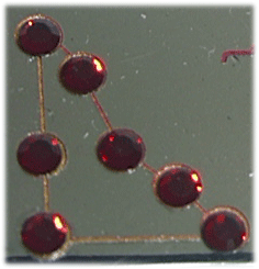 �K�[�l�b�g�€��