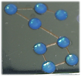 �A�N�A�}����������