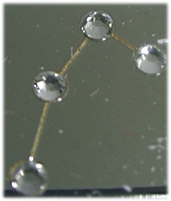 �_�C�������h���Ђ���