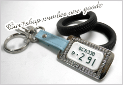 �X�����t�X�L�[�N���X�^���i���o�[�v���[�g�L�[�z���_�[���X�g���b�v