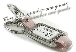 �X�����t�X�L�[�N���X�^���i���o�[�v���[�g�L�[�z���_�[���X�g���b�v